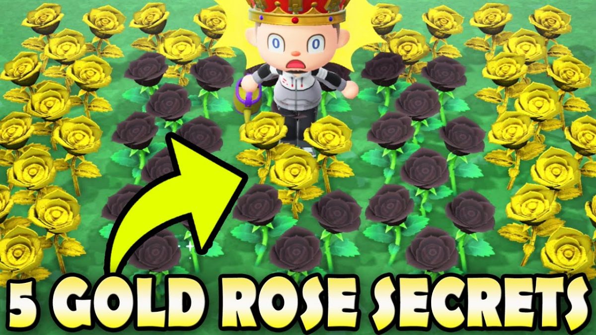 How to Grow and Use Golden Roses in Animal Crossing